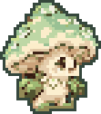 Dewcap Mushroom